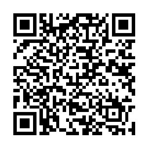 仿佛潜意识就明白就算宴西有枪也不会对付他们的二维码生成