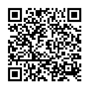 仿佛现在左书记已经答应了这个大岩洞交给方寸公司承包一般二维码生成
