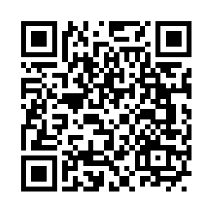 仿佛盛放着璀璨星子的幽深美眸打量着四周二维码生成