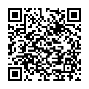 仿佛看到自己的清白毁在了这个该死的胖子的手中二维码生成