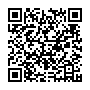 仿佛能够燃尽整片天地的紫色火焰也是瞬间将虫皇二维码生成