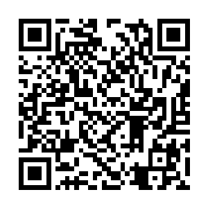 仿佛血肉之躯已经阻挡不了他体内沸腾的灵能爆发二维码生成