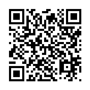 仿佛那真的只是老人濒死的幻觉一样二维码生成