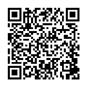 仿若有一股恐怖的力量在他体内爆炸了开来一般二维码生成