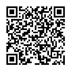 企业甚至可以随时追踪到自己所办事项的进展情况二维码生成