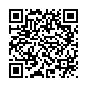 企图成为压死骆驼的最后一根稻草二维码生成