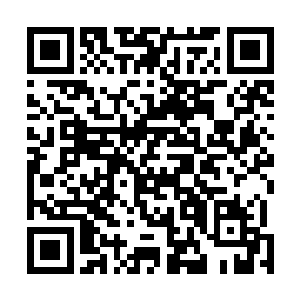 伊布居然就这么硬生生把怪物鲁姆的一只触手给拔了下来二维码生成