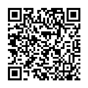 伊布默然看着大精灵王的身影完全消失在了视线之中二维码生成