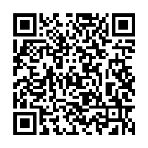 伊恩侧方面又对叶秋说起关于猎人学校的猎人标准二维码生成