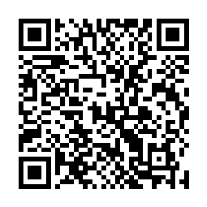 伊莎贝拉正和一群王公贵族以及政府的干部在谈论政事二维码生成