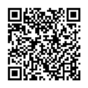 伏羲也疯狂吞噬了大量从他神魂中炸裂开来的数据二维码生成