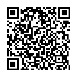 伐木森林的事件对于马文来说也算是告一段落了二维码生成