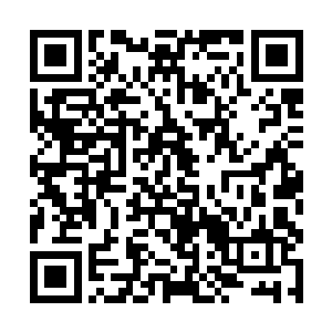 休息片刻喝了两杯热茶四个人就坐在一起修炼了起来二维码生成