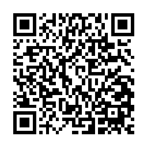 休闲旅游农业等在内现代农业成为梓城县委县府的一个重大决策二维码生成