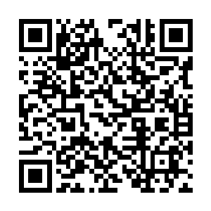 众人便看到代离的腰测被一只白灵海蛇的尾巴卷住二维码生成