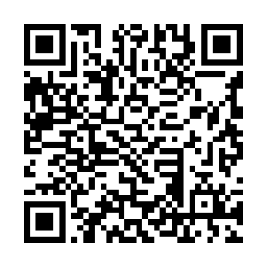 众人宴会的地点便从园中移到了花苑一角的一处水阁二维码生成