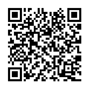 众人的目光立刻追随在冰雕群中东张西望的云飞扬二维码生成