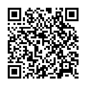 众人的目光都下意识得看向前方得十二个灵气漩涡二维码生成