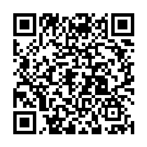 众人的视线随着念念和莫飘的身影开始一点一点的移动二维码生成