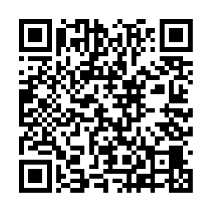 众人的议论赞叹羡慕之声时不时从马车外传了进来二维码生成