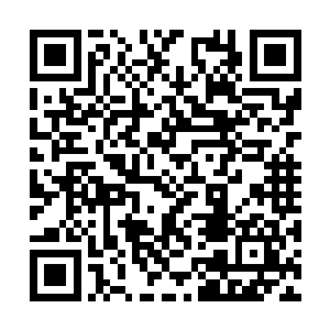 众人看到眼前的男人对于逃窜的两人没有任何反应二维码生成