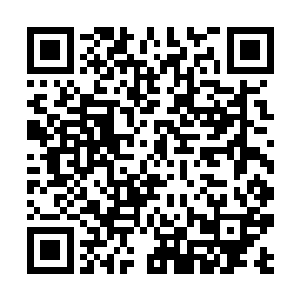 众人看着宋天仁的表情就知晓这个家伙不是一般的坏二维码生成