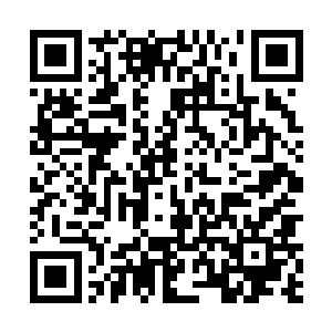 众人眼见他的法宝竟是四十九道诡异的不知名青色灵光二维码生成