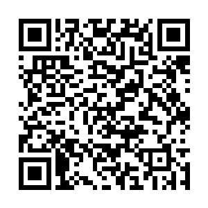 众人还没从季疏云要收留他们的震撼和惊喜中回神二维码生成