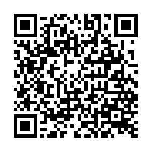 众人还没在青城落脚就已经奔向了下一座城市――红枫城二维码生成