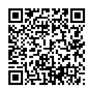 众人这才想起来这个胖子可不是外表看上去那么老实二维码生成