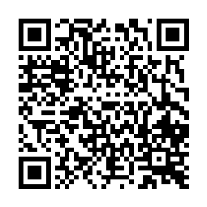 众人都知道这北宁侯府的嫡小姐沈婉瑜那可是皇家的宠儿二维码生成