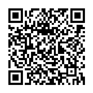 众仙鱼贯而入加入下一个暗面小世界战场――门后传来土德气息二维码生成