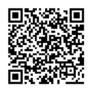 众位翰林在一下班就拉着朱平安去了上次聚餐的地方二维码生成