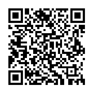 众修士的心中竟然同时无奈地浮现出同一个想法二维码生成