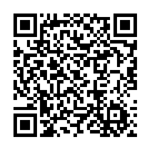 众多始境强者攻击阵法产生的能量风暴在天地间肆虐二维码生成