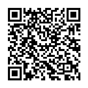 众多武者也没真的以为韩风会是和剑帝一个层次的人物二维码生成