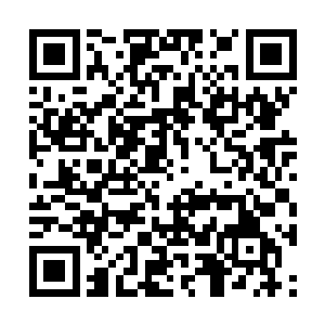 众多狂热粉丝也终于堵在保安们及时拉起的人墙前二维码生成