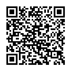 众多黑甲看着这位小风情的王妃踏步走来的时候二维码生成