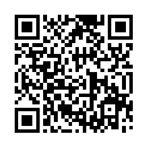 优雅如玉的手此时轻轻地抚摸着茶杯的边缘二维码生成