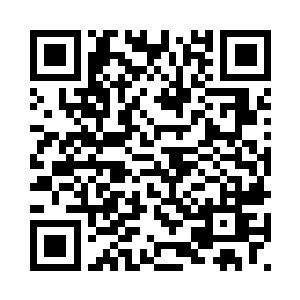 会不会就是下午我见到的那个李健二维码生成