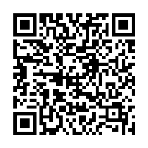 会不会是因为您的轰火神杖在先前的决斗中折断了二维码生成