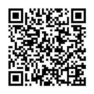 会不会是白角族那边的亚兰大巫从神那里知道了什么二维码生成