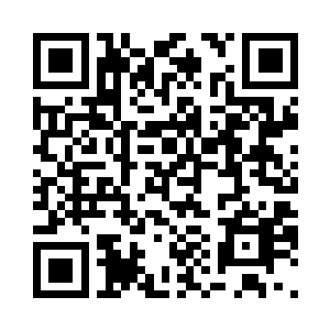 会不断犯错去寻找无限可能性的种族二维码生成