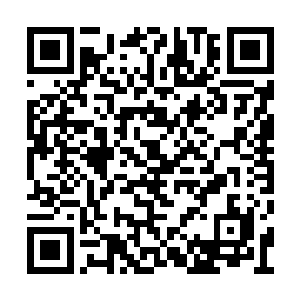 会再开口说些什么他刚才拿到银熊奖之后的发言二维码生成