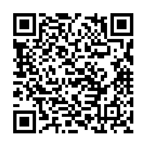 会呈现出至尊战堡和星舰的模样他们的确是在学习二维码生成