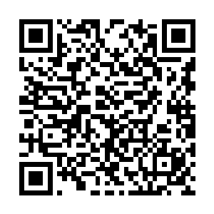 会在一定程度上鼓舞起政府军和我们这些人的士气二维码生成