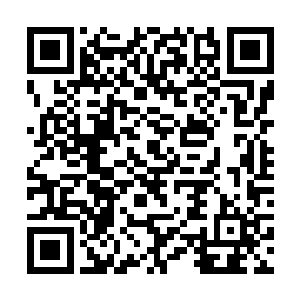 会影响到传记整体的框架或者会带来不好的负面新闻二维码生成