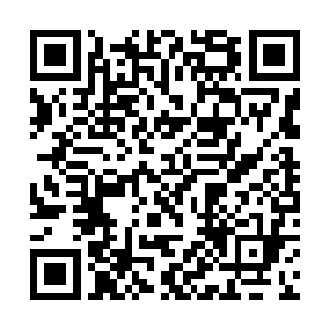 会很是聪明的利用催眠师想要在罗刹帮各个分派夺权二维码生成
