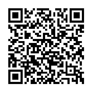 会是那个在学校一脚踢废四外国人的那个萧摇吗二维码生成