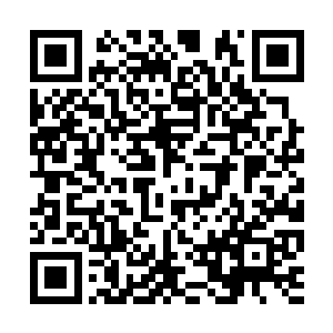 会是那怎么看都是路边野花的花株让四人出状况的二维码生成